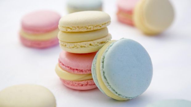 Iced Sugar Biscuits